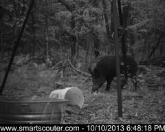 BedandBreakfast-NewFeeder_10102013_5813344.jpg